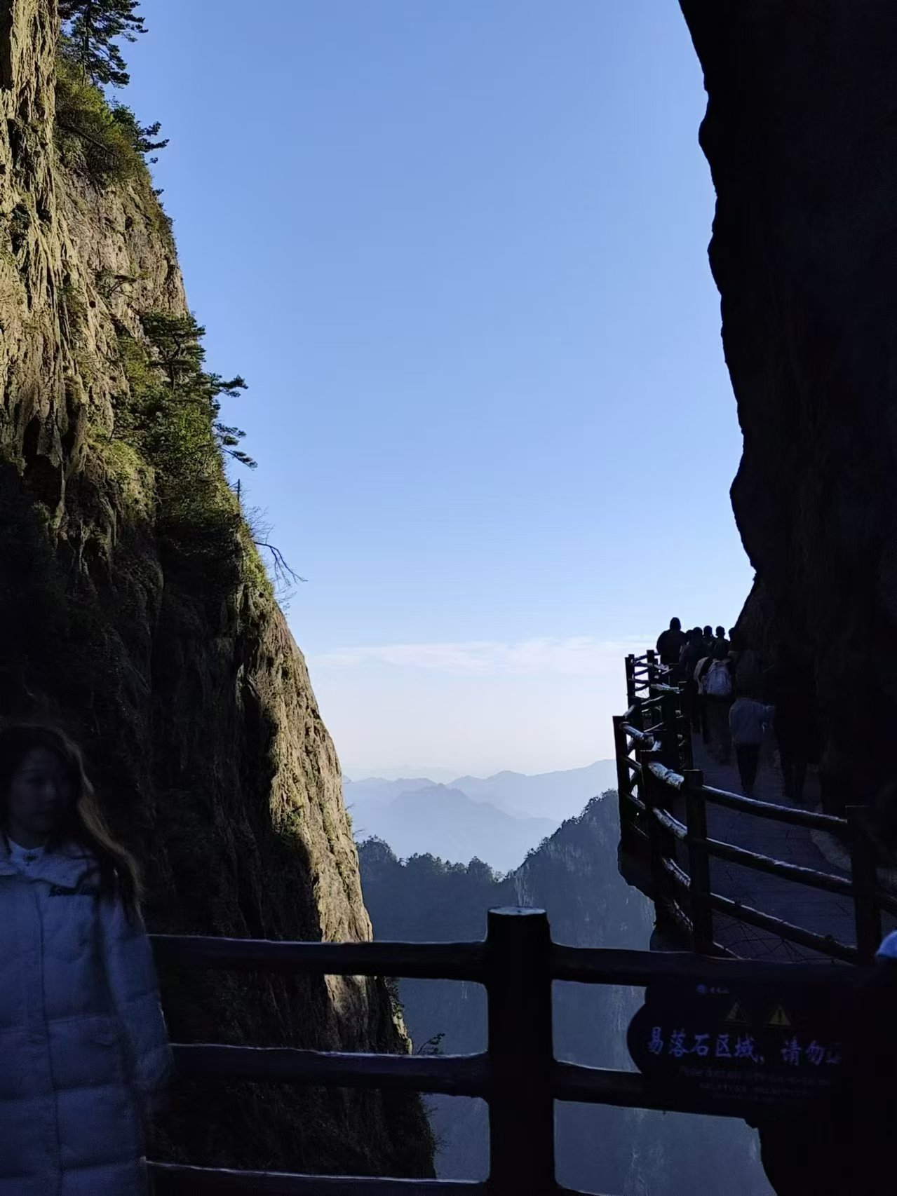 tzjjwhw-2